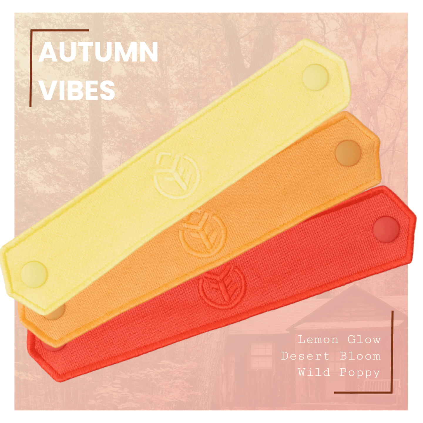 AUTUMN VIBES Bundle